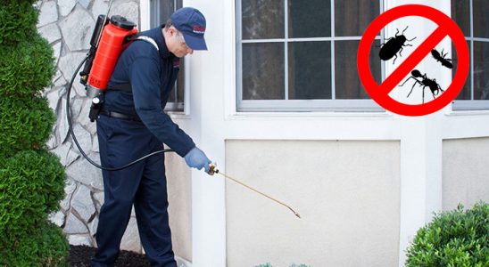 Akkışla Uçan Haşere İlaçlama böcek ilaçlama ve haşere kontrolü — ilaclama-tr.com